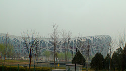 Le stade olympique surnommé «Nid d'oiseau»