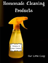 DIY Cleaning Products