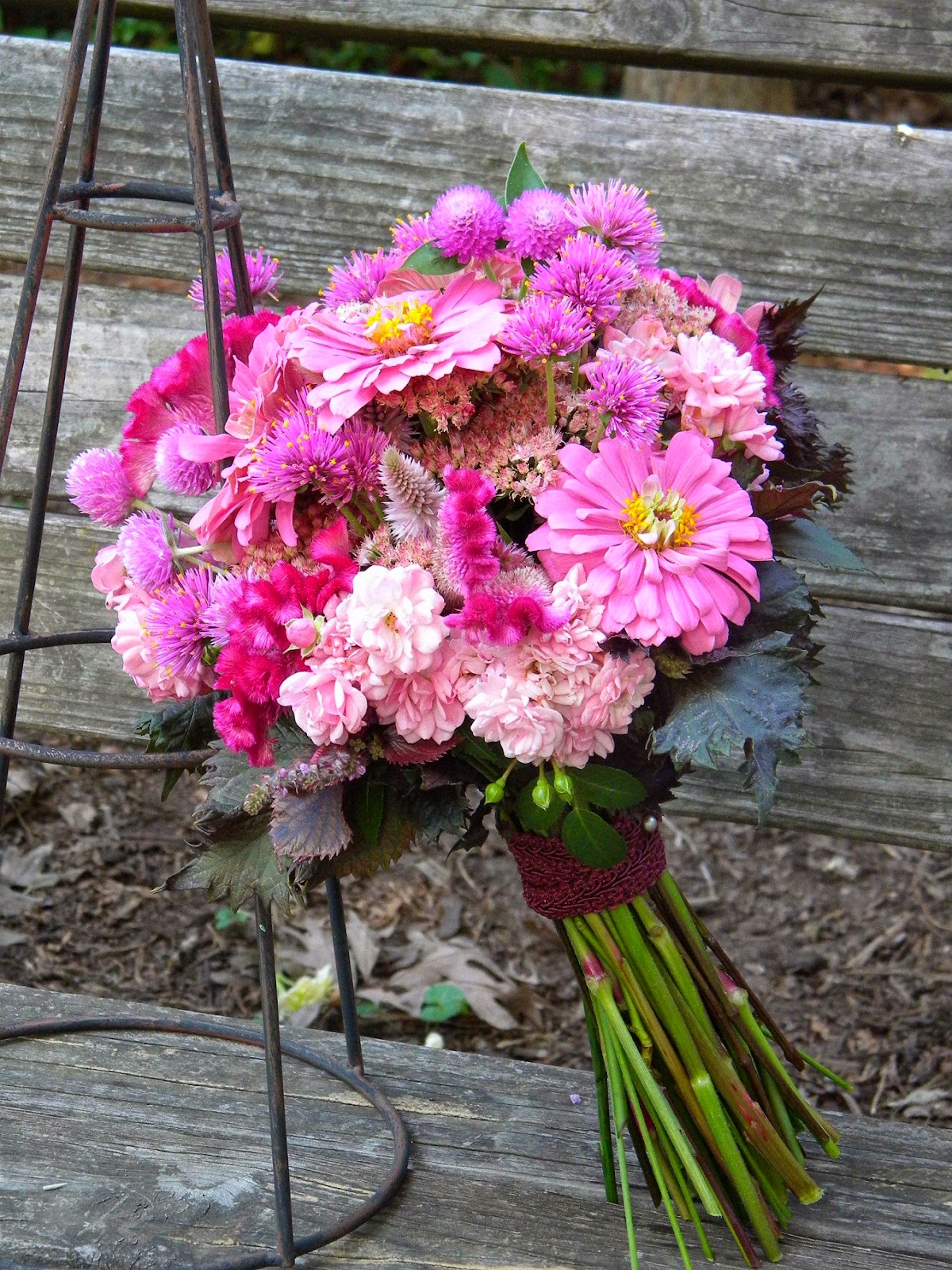 Scottish Artist And His Garden Summer Flowering Shrubs