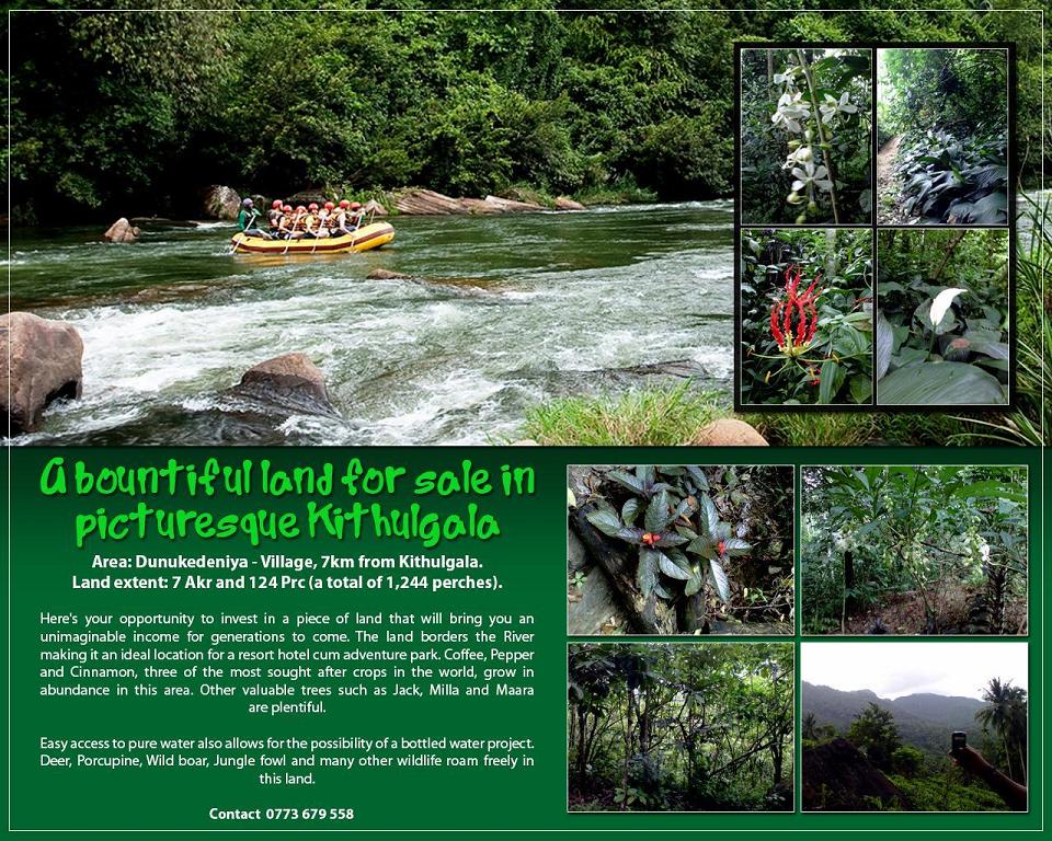 Colombo Things to Do A bountiful land for sale In Kithulgala