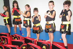Sanda N iñas y Niños - Infantil Boxeo chino