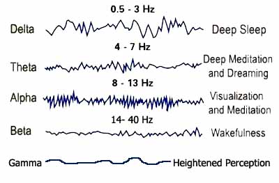 the way to measure oscillating brainwaves at home