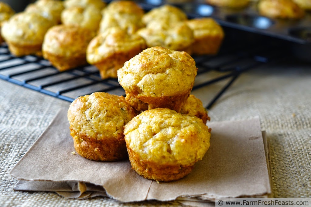 Farm Fresh Feasts Herbed Butternut Squash And Cottage Cheese Muffins