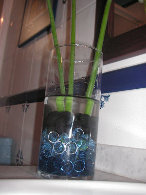 La casa de los Martínez: mayo 2011