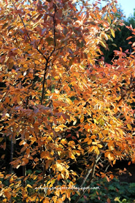 Ein Schweizer Garten: Kupfer