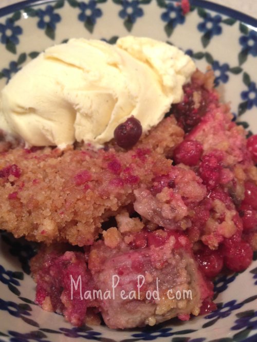 Mama Pea Pod {Gruffalo Crumble Recipe}