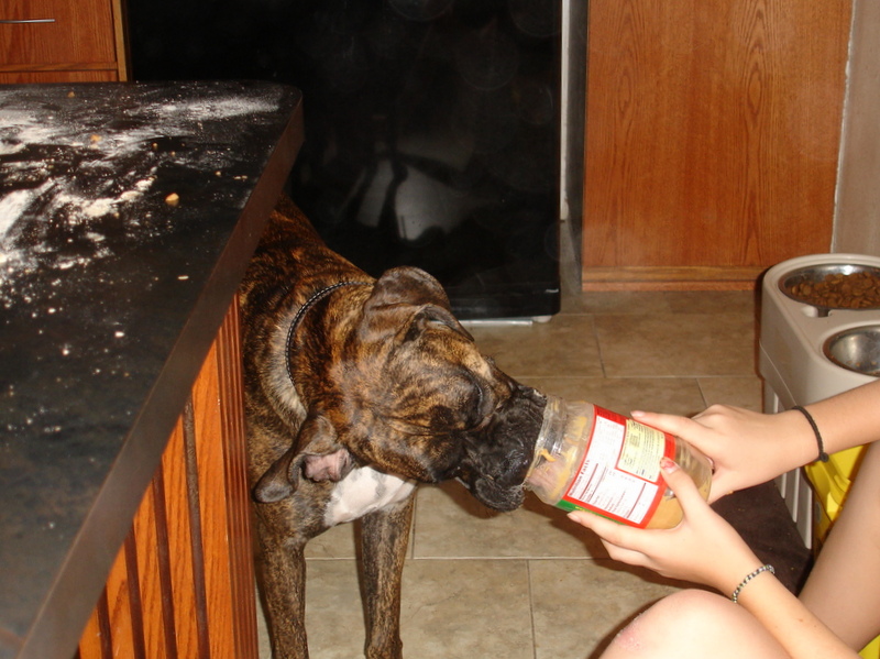 Make Your Own Peanut Butter Dog Treats