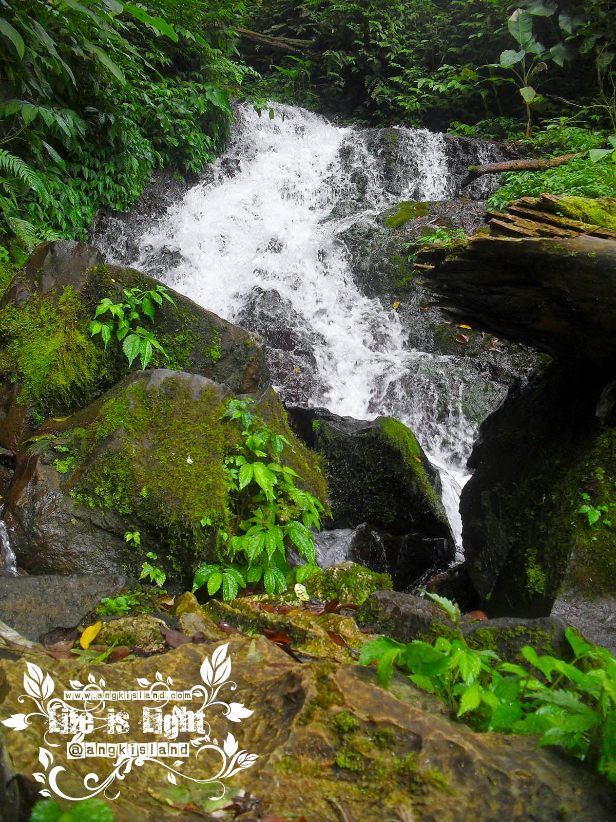 fresh segar air Terjun baturraden