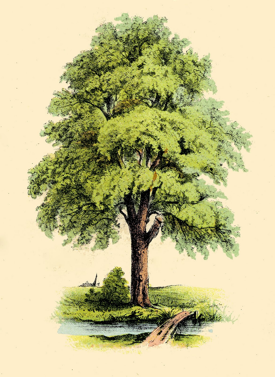 beautiful tree art