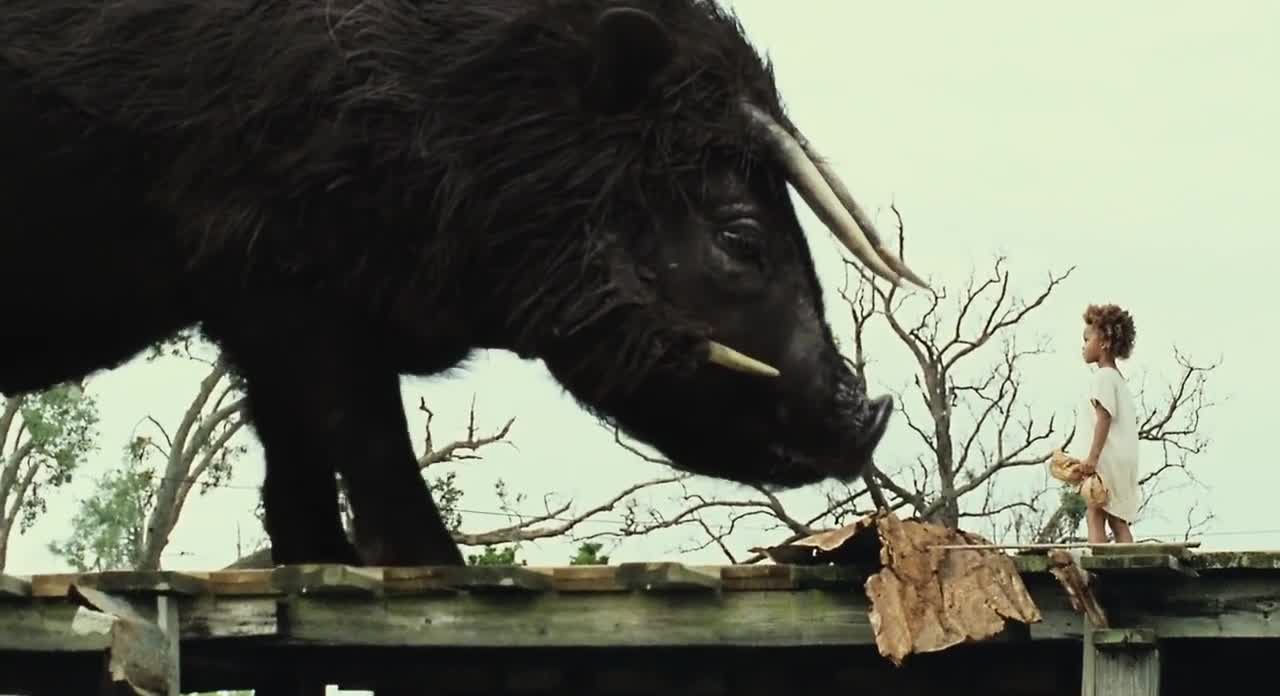 Bestias del sur salvaje - Pelcula 2012 - SensaCinecom