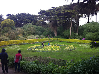 Golden Gate Park