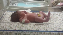Lavinia nasceu dia 24/06/2015 de parto natural...