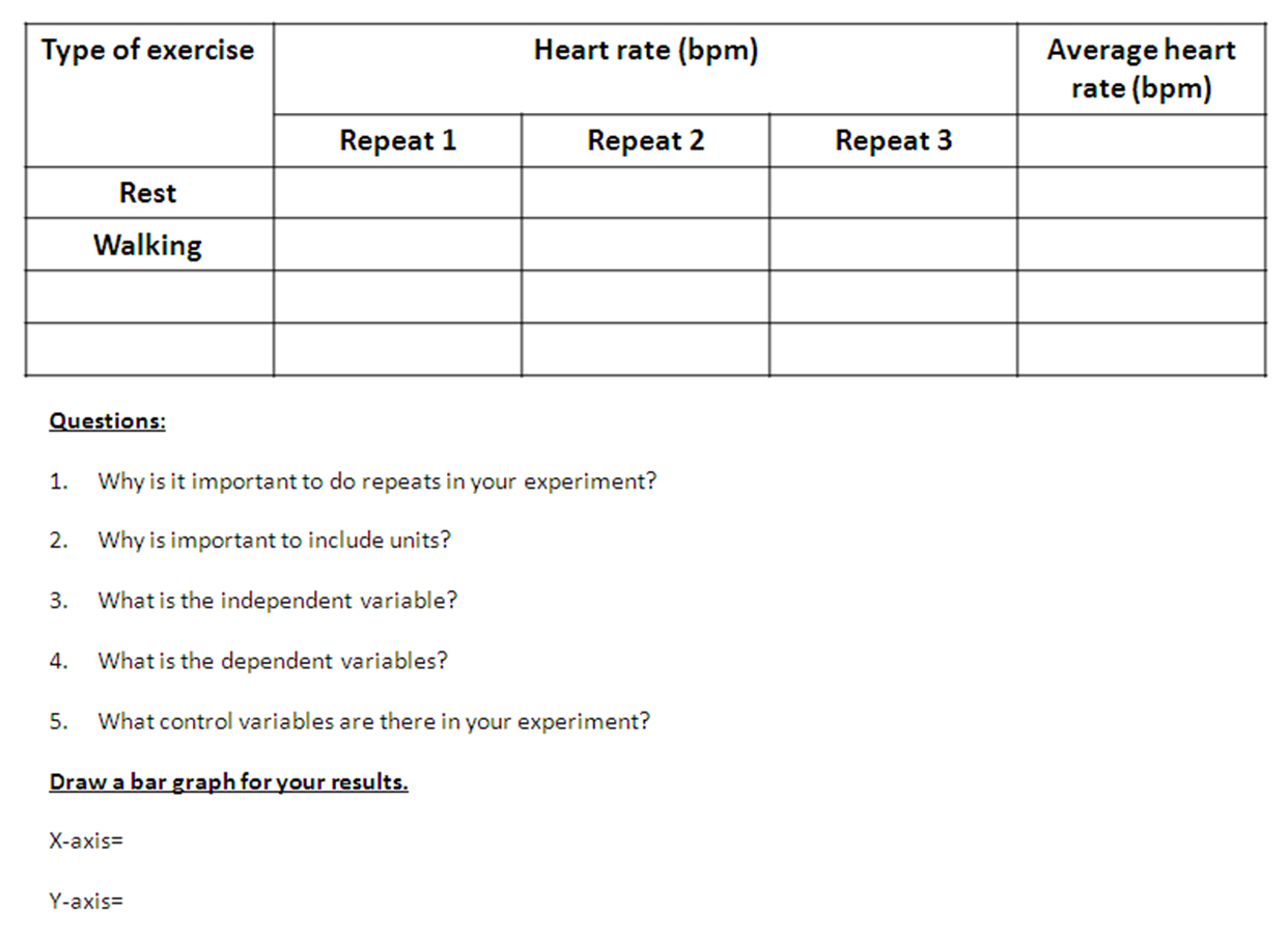Heart rate activity worksheet pdf image