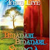 Sinopsis novel Bidadari Bidadari Surga