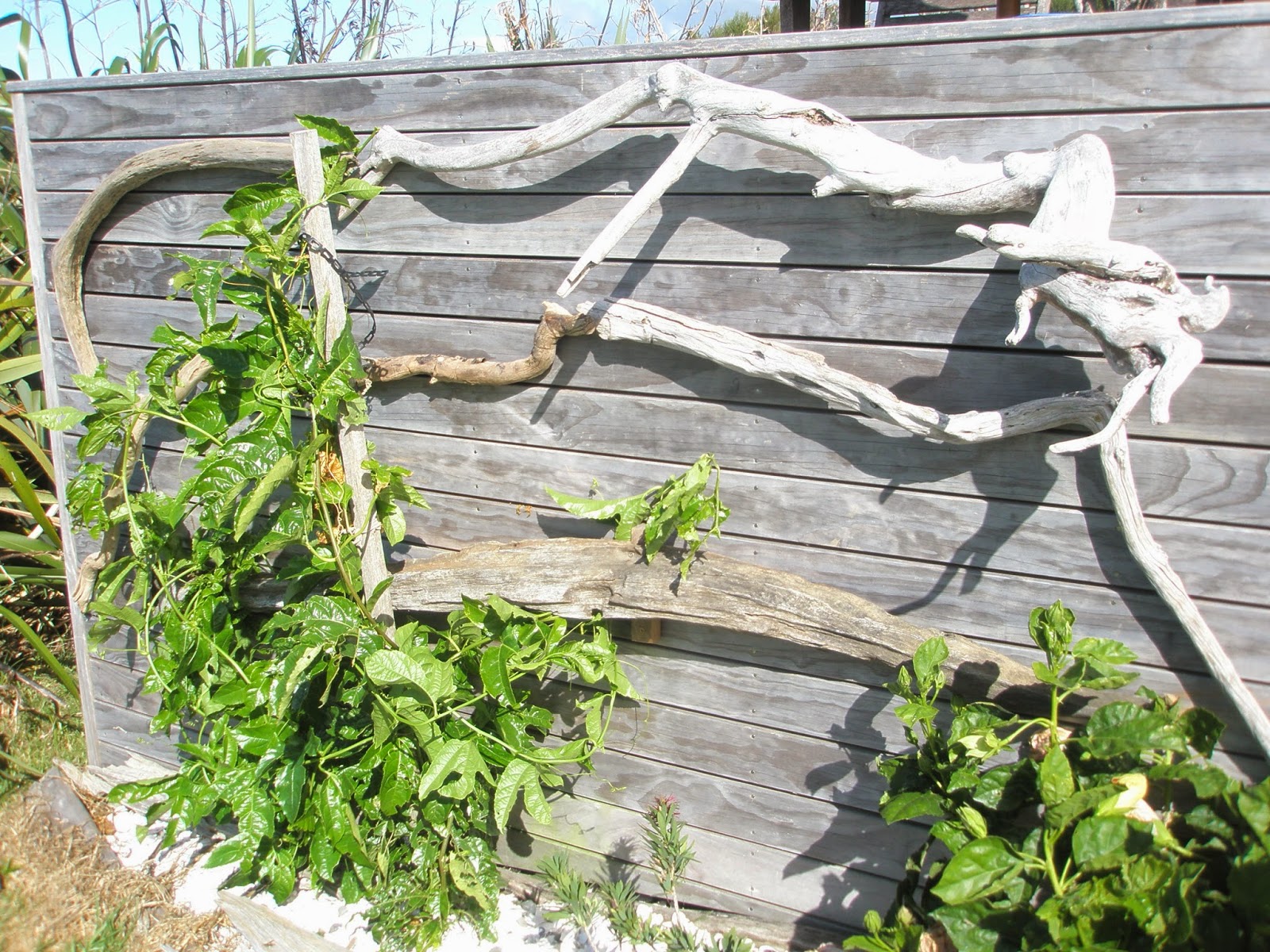 Arty Green in Paradise Upcycled Fish Smoker and a Driftwood Trellis