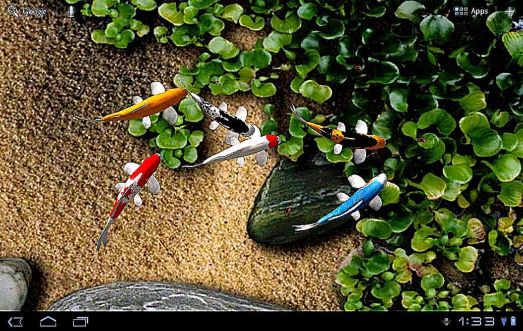 Koi Free Live Wallpaper Android Apps on Google Play Koi Free Live Wallpaper Android Apps on Google Play