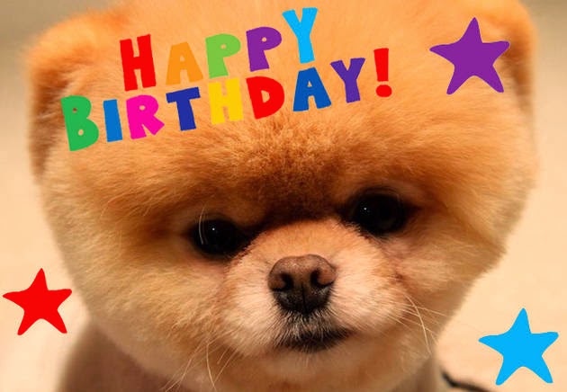 The big surprise a dog birthday cake LoL Picture Collection