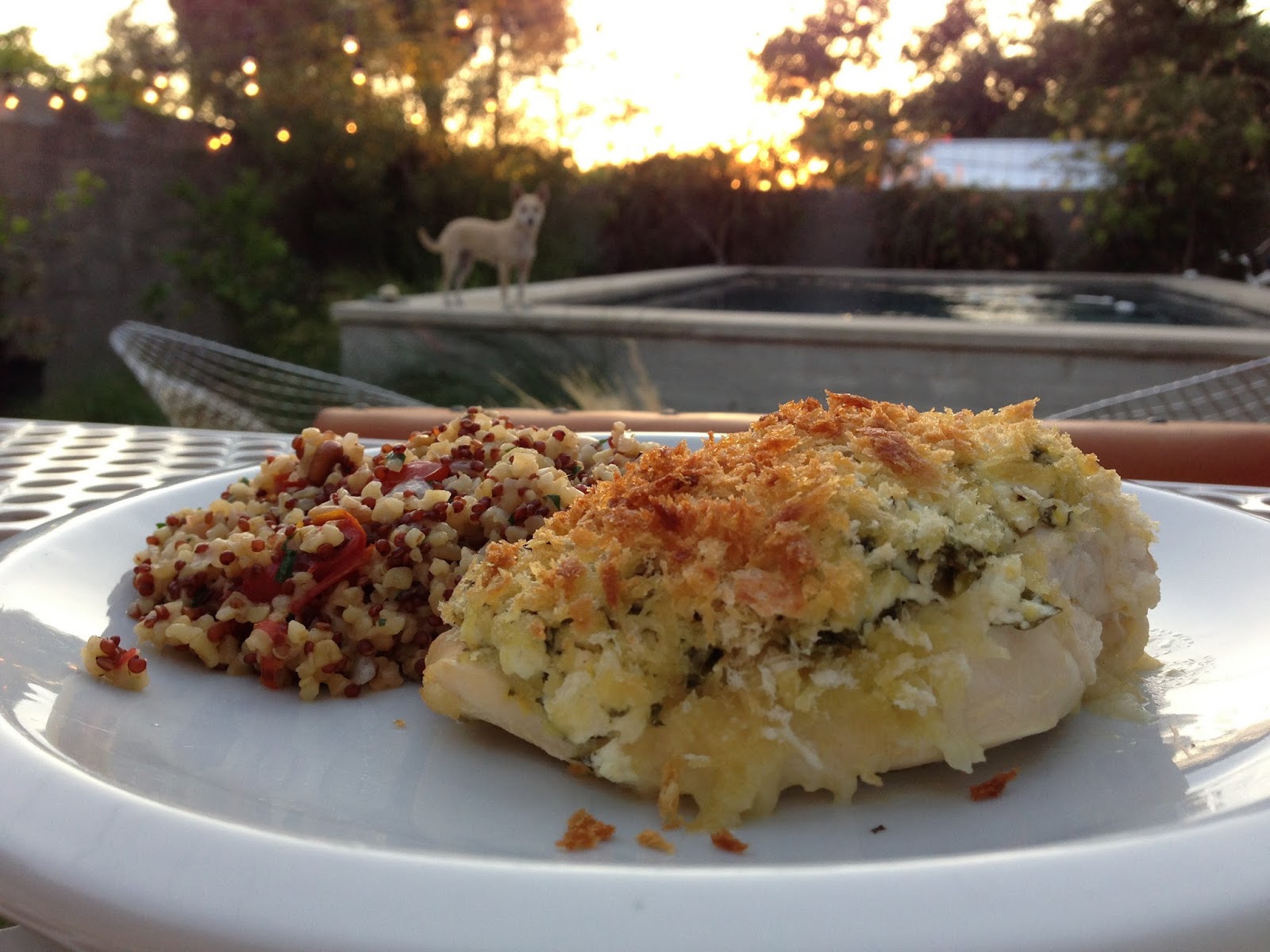 The Meat and Potatoes Foodie Chicken with Goat Cheese, Herb and Panko