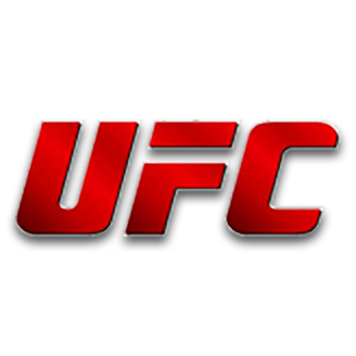 UFC o incrível Mundo do MMA