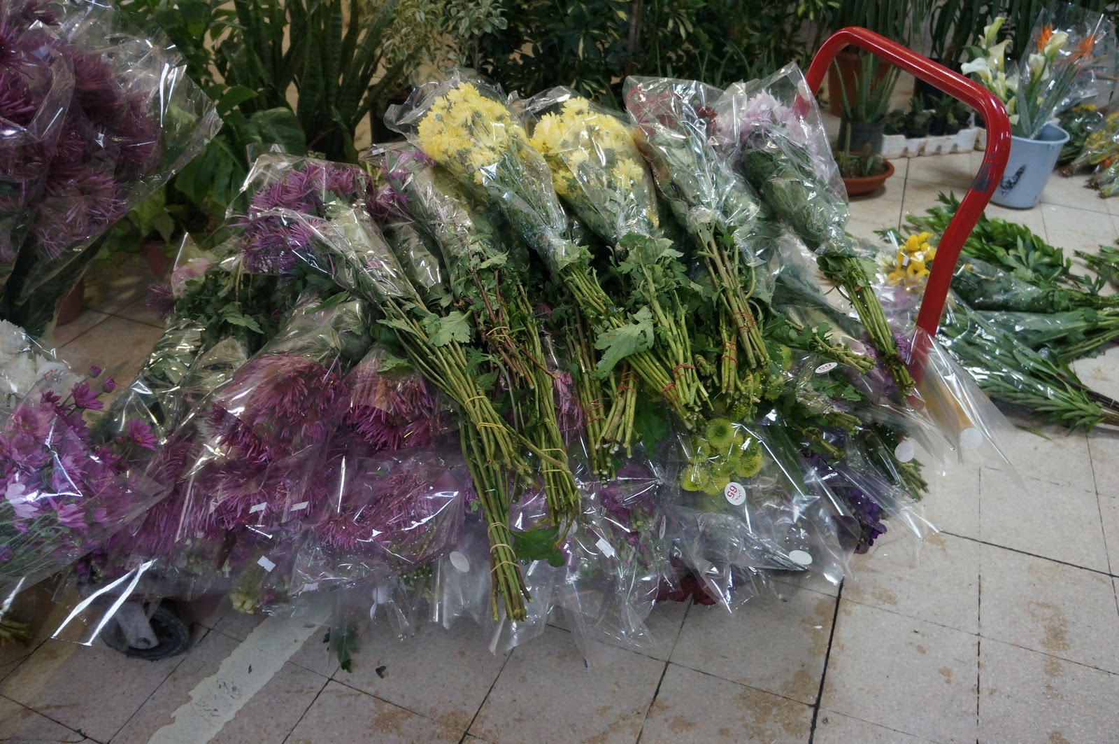 Bibs, Babs, Bobs in Amman A visit to the flower market in Amman