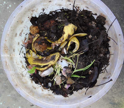 Compost pile