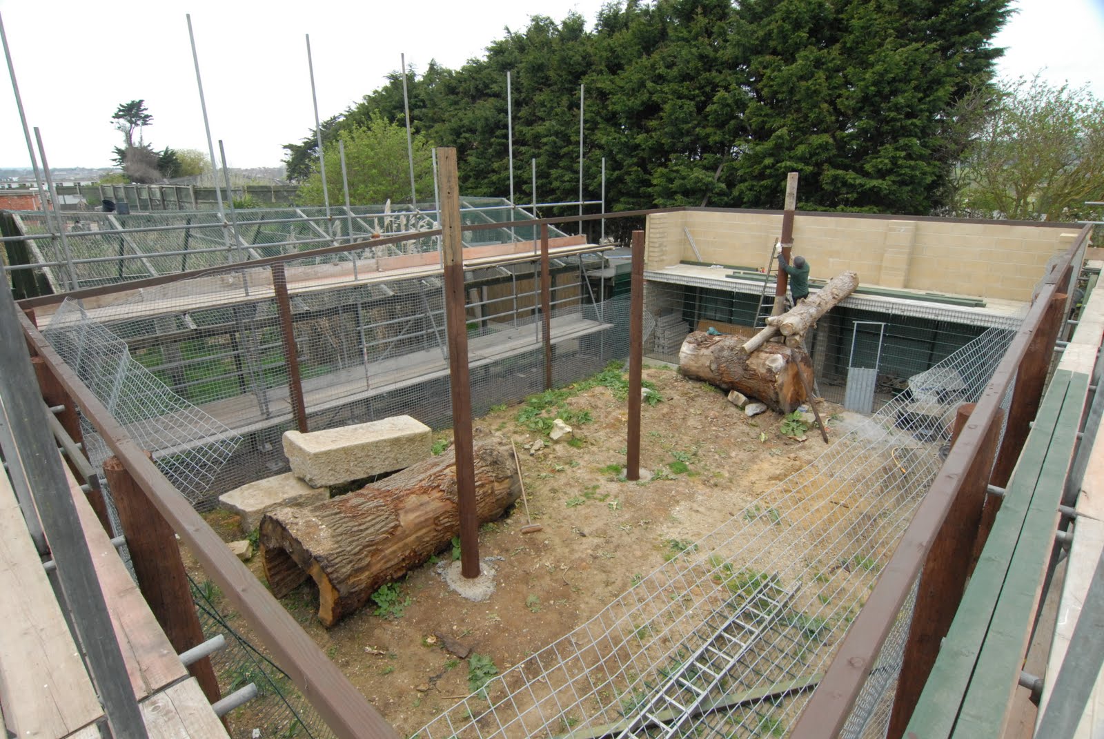 Isle of Wight Zoo Blog Jaguar Enclosure progress and volunteering at the zoo