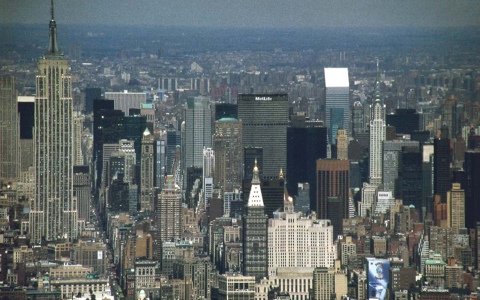 new york new york