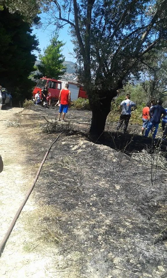 Κύμη: Έσβησε η πυρκαγιά στον Οξύλιθο - Οι κάτοικοι μιλούν για εμπρησμό (ΦΩΤΟ)