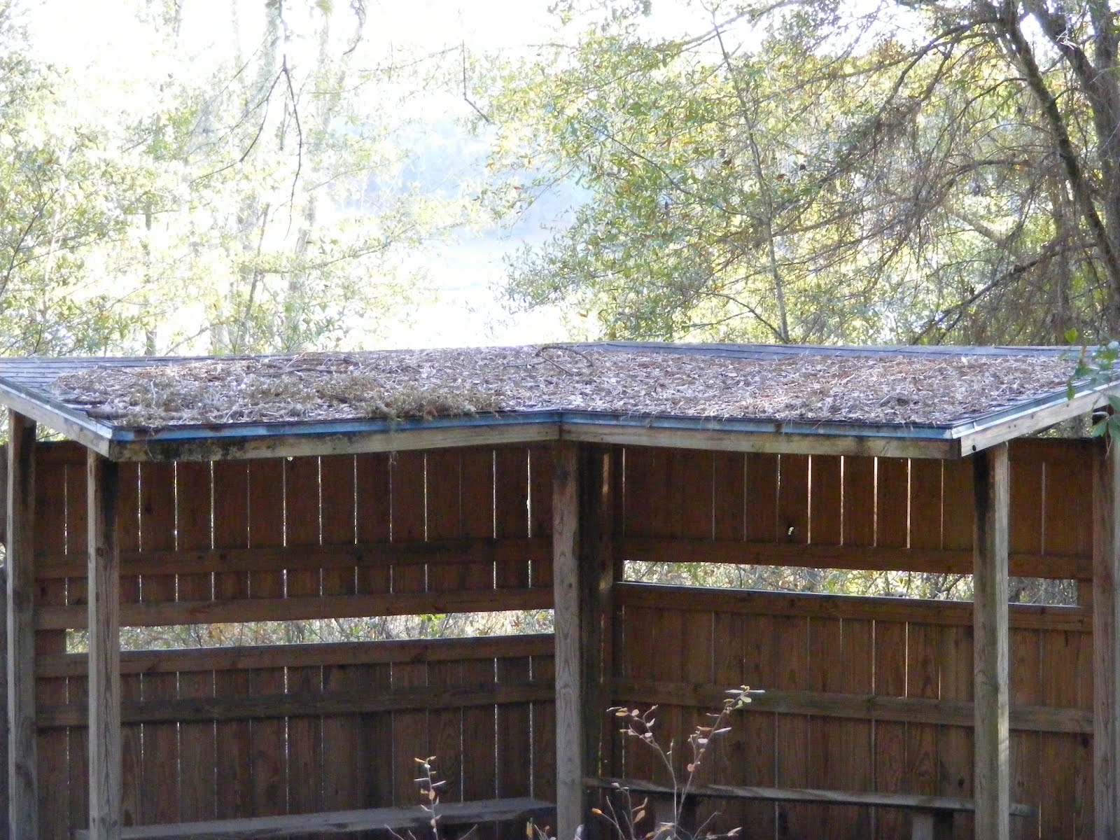 The Florida Trail January 2012