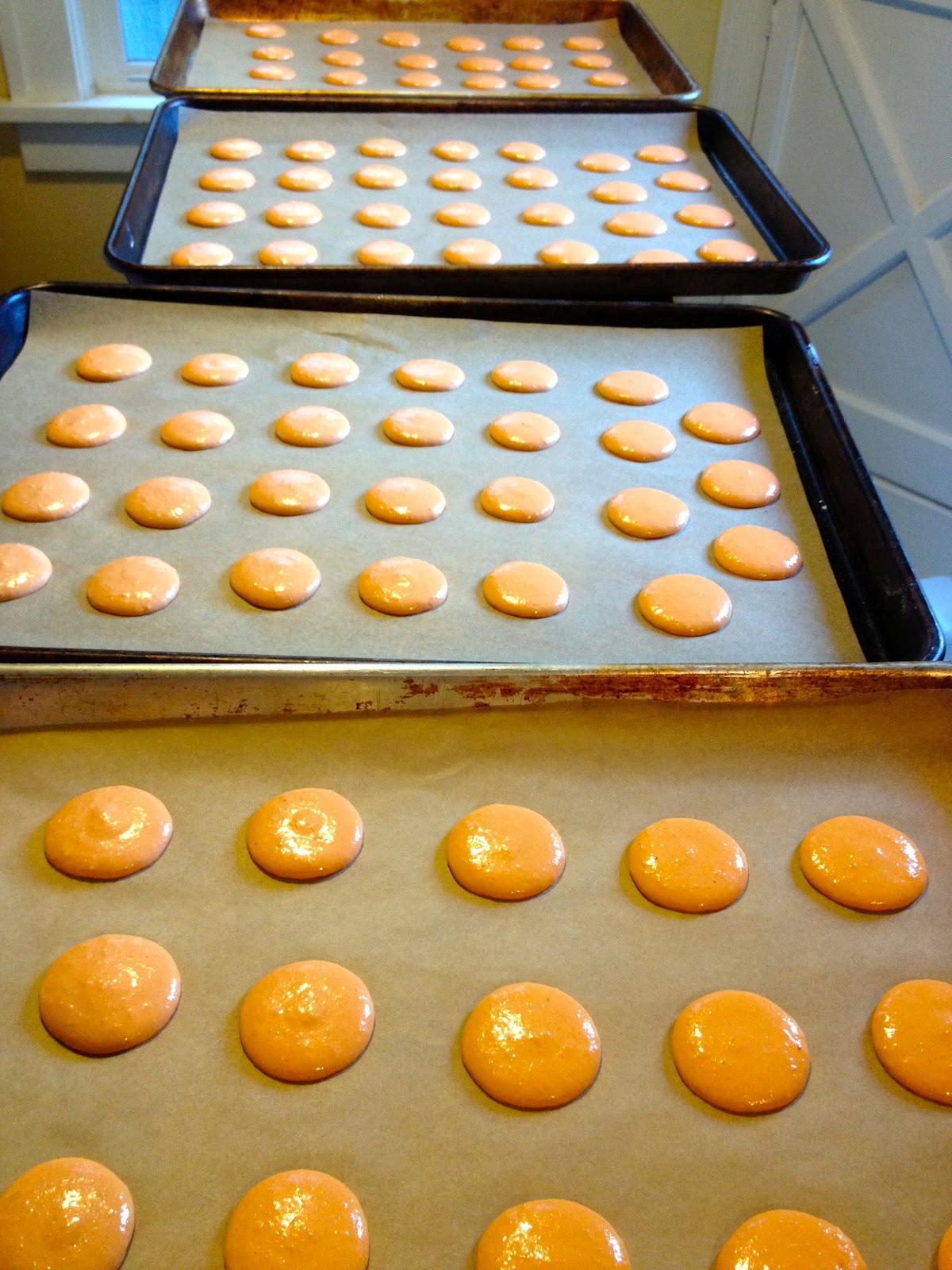 Heidi's Mix Macaron Egg White Test