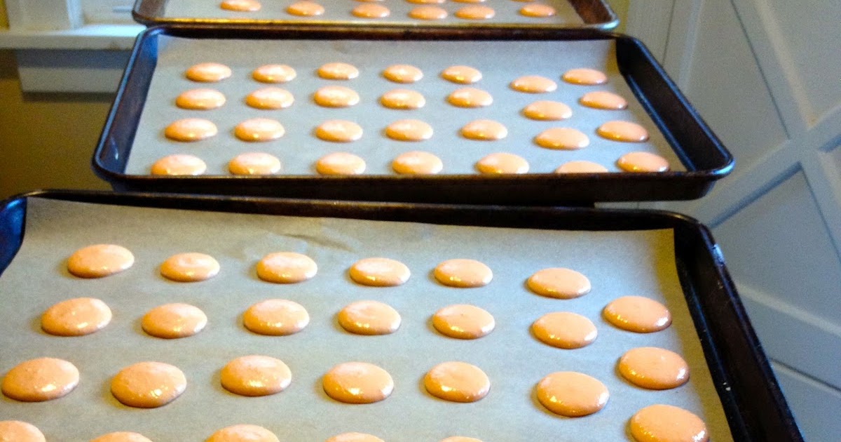 Heidi's Mix Macaron Egg White Test