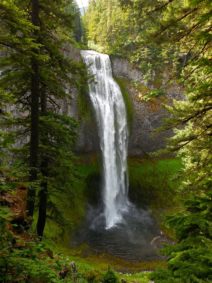 WESTERN OREGON