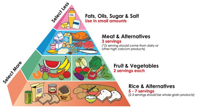 Healthy+diet+pyramid