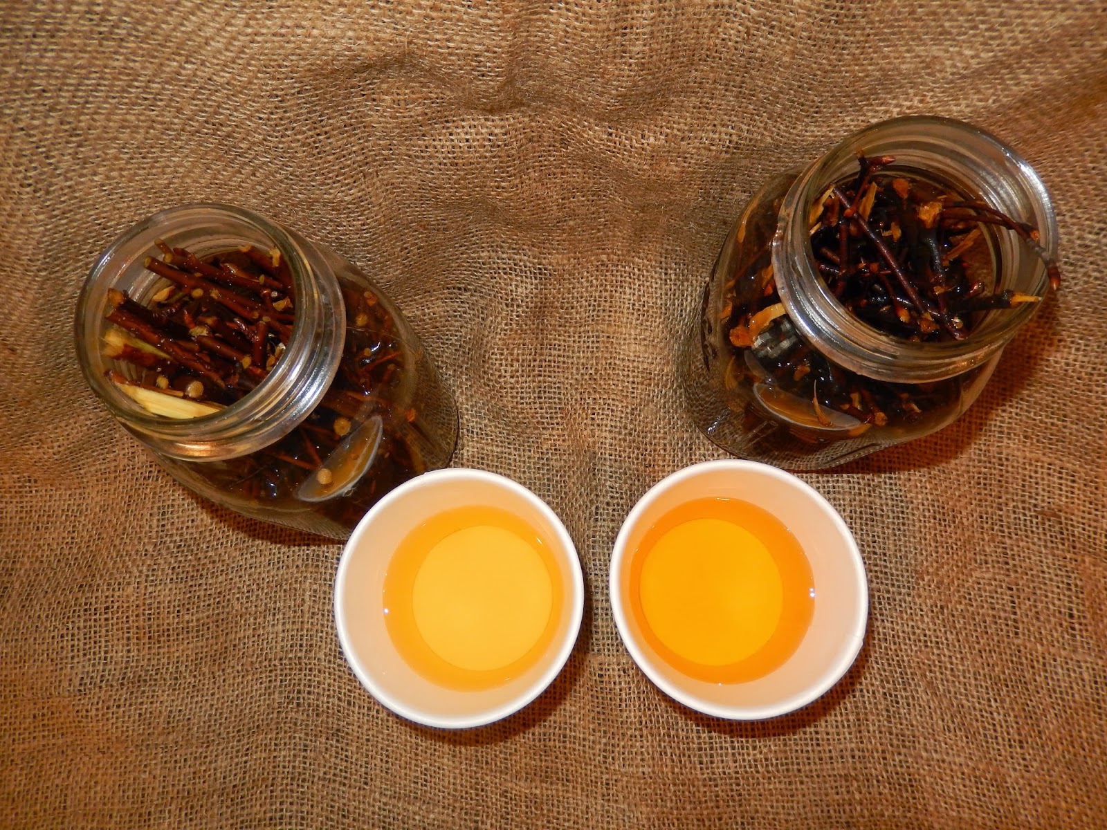 Birch Tea Benefits Healthy Tea 101