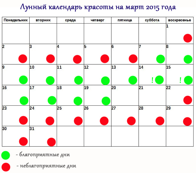 Сколько зубов у мух Сколько зубов у мух