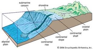 Science fact: Abyssal Plains