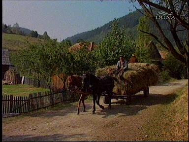 erde ungarn olaszfa ady endre utca 14 ungarn