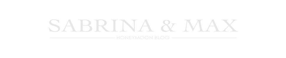 Sabrina & Max's Honeymoon Blog