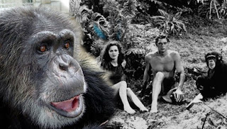 Muere "la mona" Chita 1