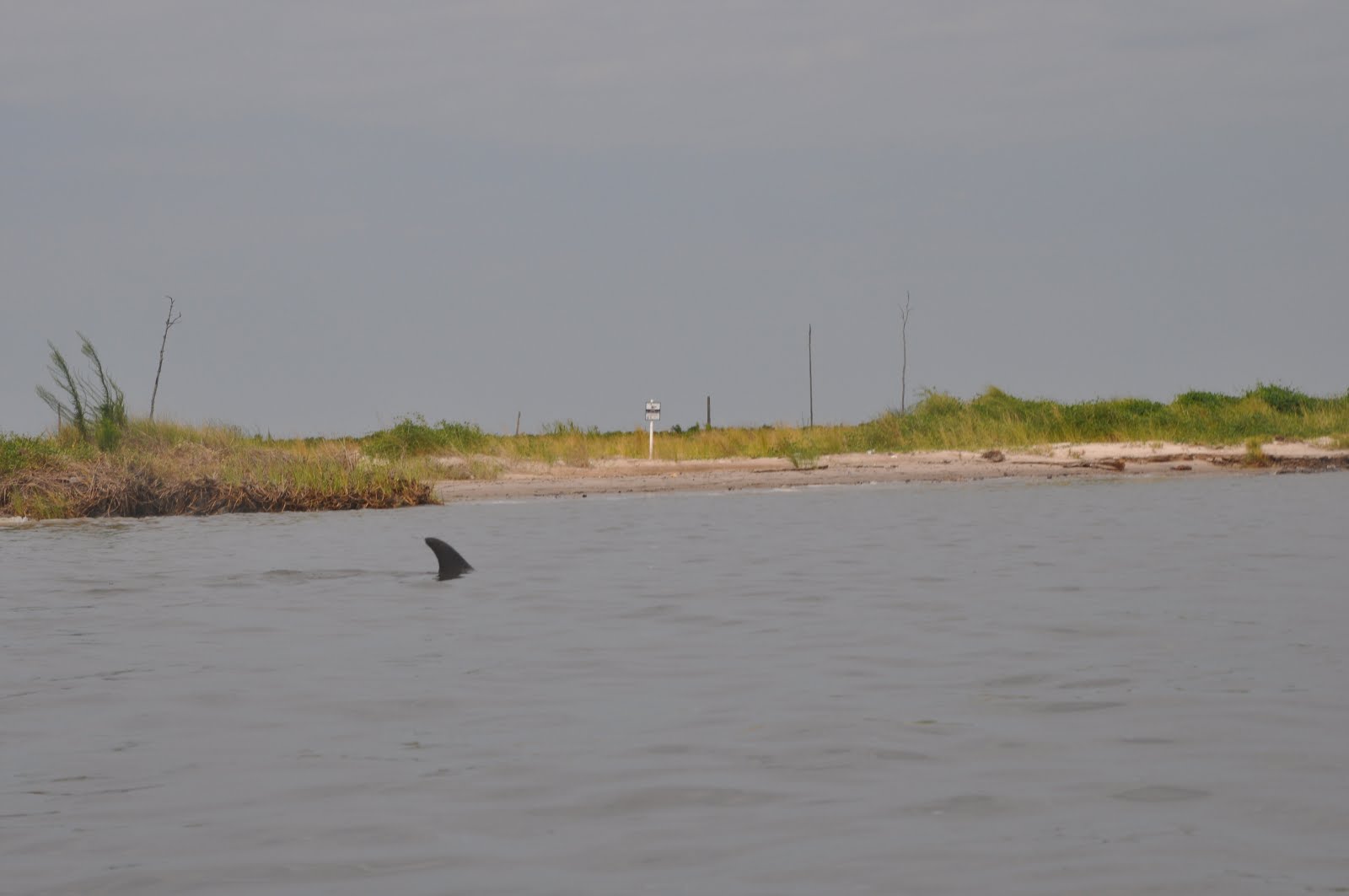 Southeastern Louisiana Paddling Kayak Around Deer Island Biloxi,Mississippi
