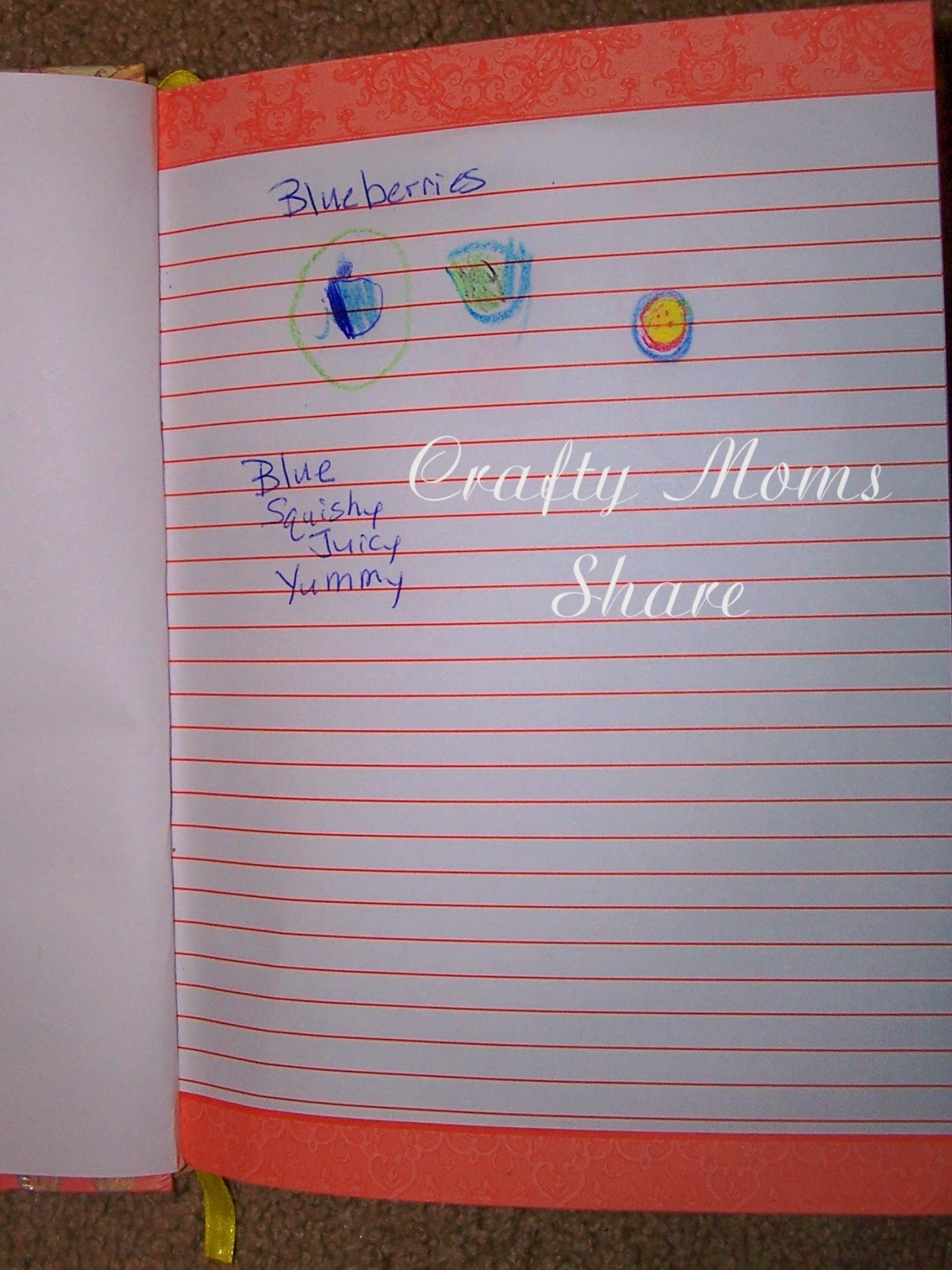 Crafty Moms Share Friday Fruit Exploration Blueberries