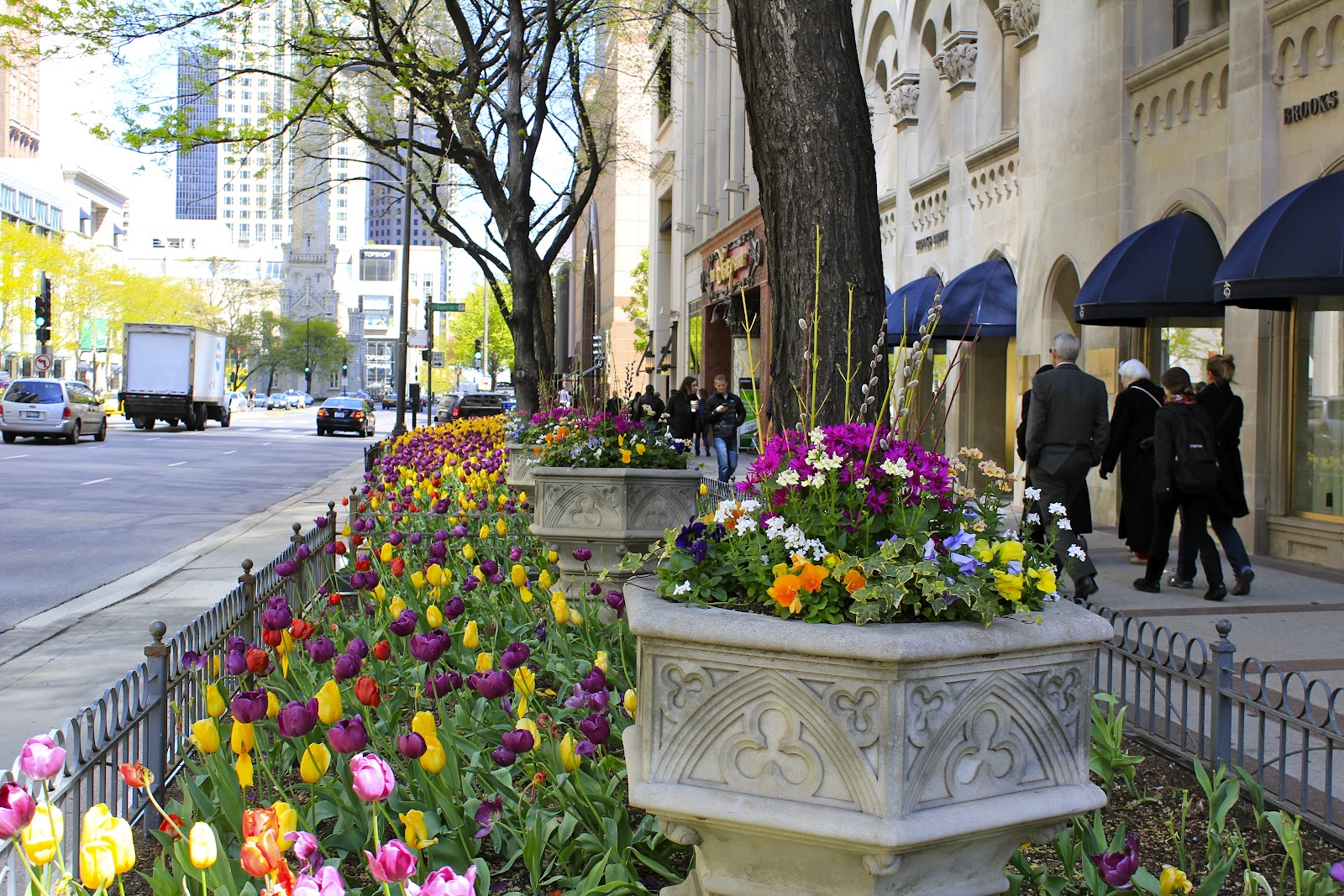 figs flowers food STREET FLOWERS OF CHICAGO