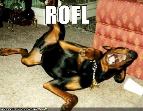 [Imagem: rofl.jpg]