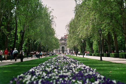 Fisioterapia a domicilio en Retiro, Madrid