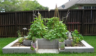 Mia's Garden: My FAITH & My Garden are Growing!