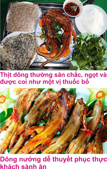 Tour Du Lịch Hè Phan Thiết 2015 Thưởng Thức Dông Trên Cát