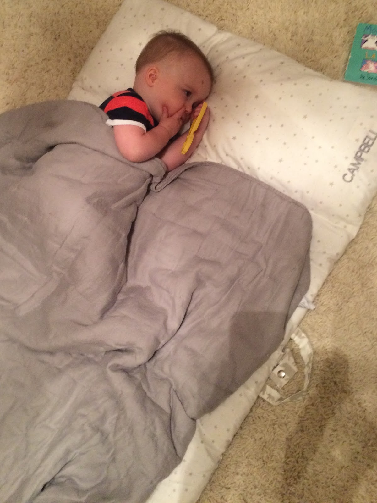 Kara S Stories August 2015