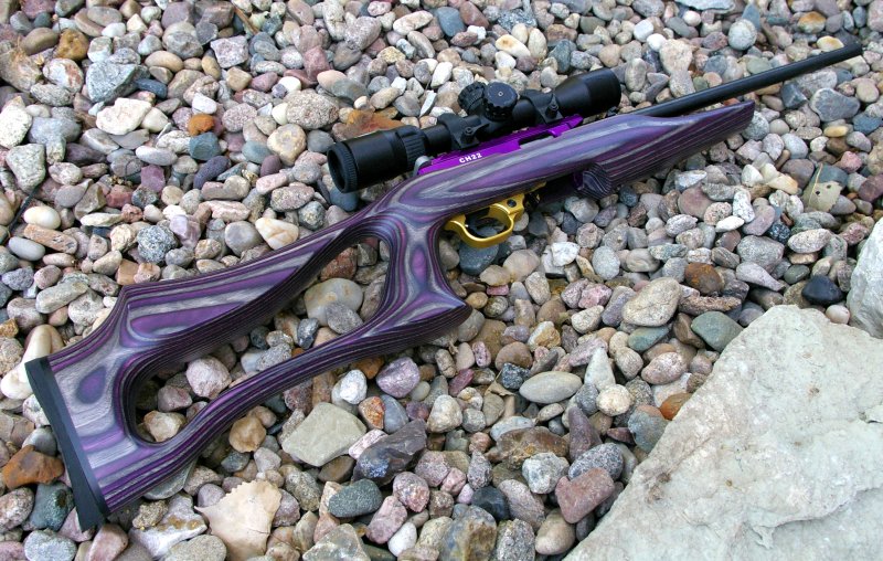 Boyd 10/22 SS Evolution TactiCool Stock Review