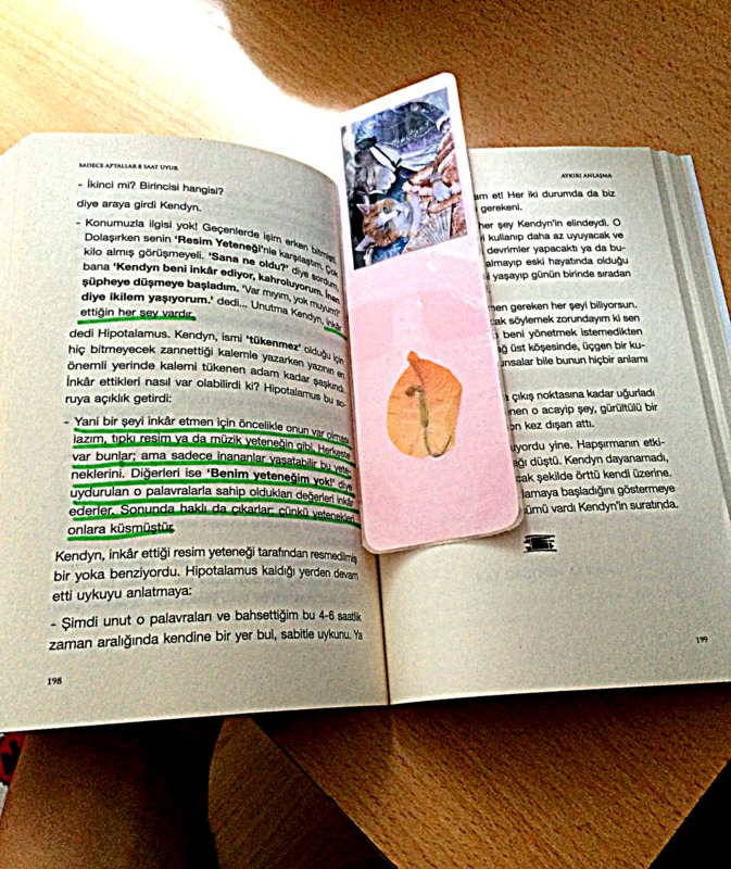 Sadece Aptallar 8 Saat Uyur Free Pdf Epub Download