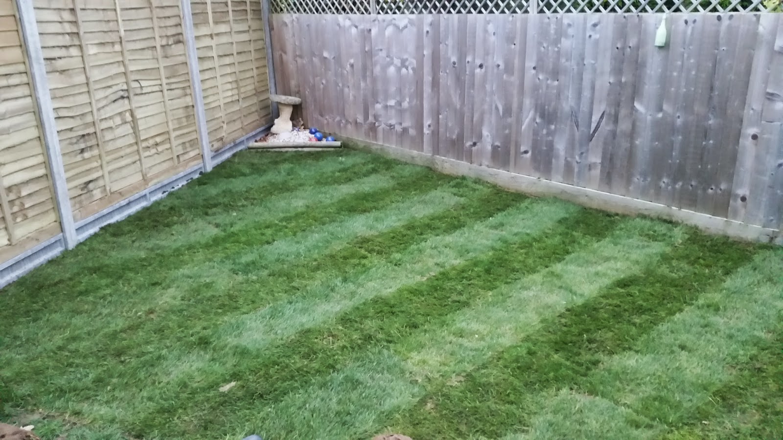 Yeovil somerset landscape gardener handyman: Landscaped Garden and New
